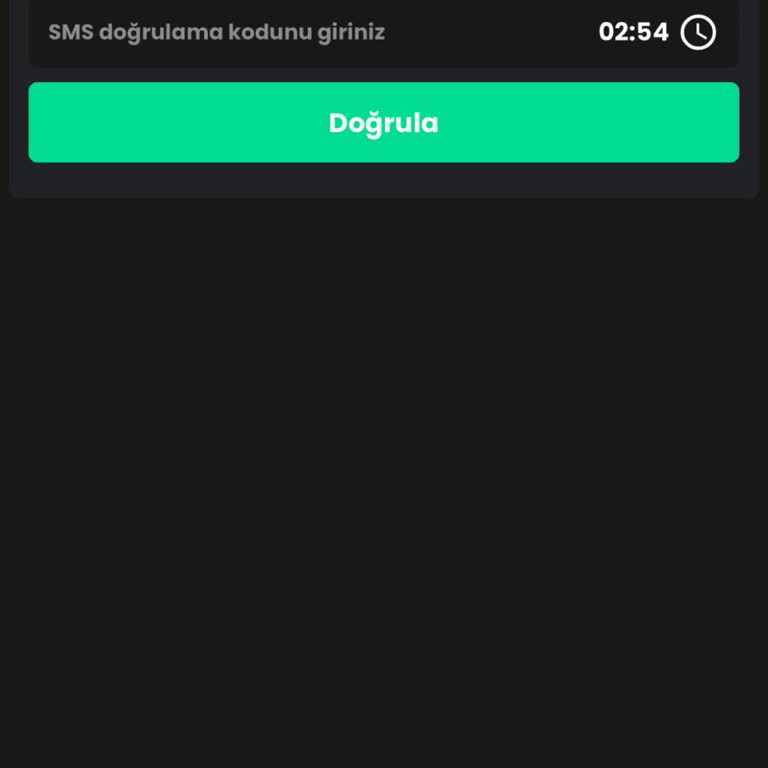 SMS Doğrulama Kodu Gelmemesi Nedeniyle Bitay Hesabına Erişilemiyor