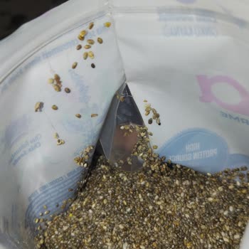 Kılıç Market Chia Tohumu Paketi İçinde Örümcek Ağı Benzeri Kontaminasyon Şikayeti