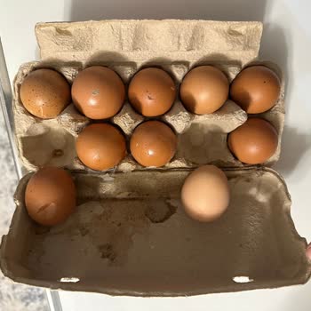 Kırık Gelen Yumurta İçin İade Ve Bilgilendirme Eksikliği