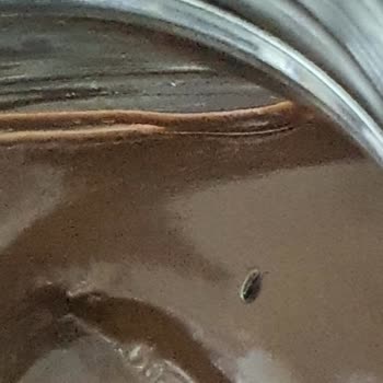 Sarelle Çikolatasında Böcek Bulunması Sağlık Ve Hijyen Endişesi Yarattı