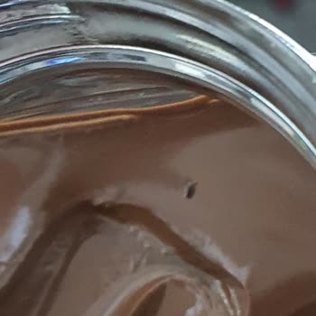 Sarelle Çikolatasında Böcek Bulunması Sağlık Ve Hijyen Endişesi Yarattı