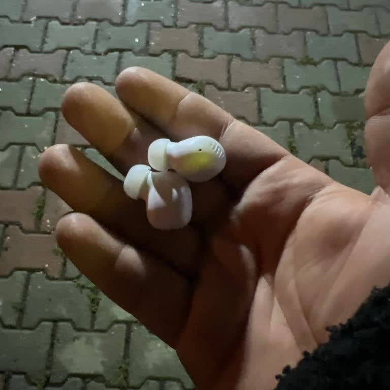 Ses Kesintili JBL Wave Buds 2 Kulaklık Ve Kayıp Şarj Kutusu İçin Yardım Talebi