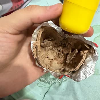 Şölen Ozmo Sürpriz Yumurtada Çikolata Bozulması Ve Çocuk Sağlığı Endişesi