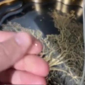 Karaca İlk Yıkamada Deforme Olan Tepsi