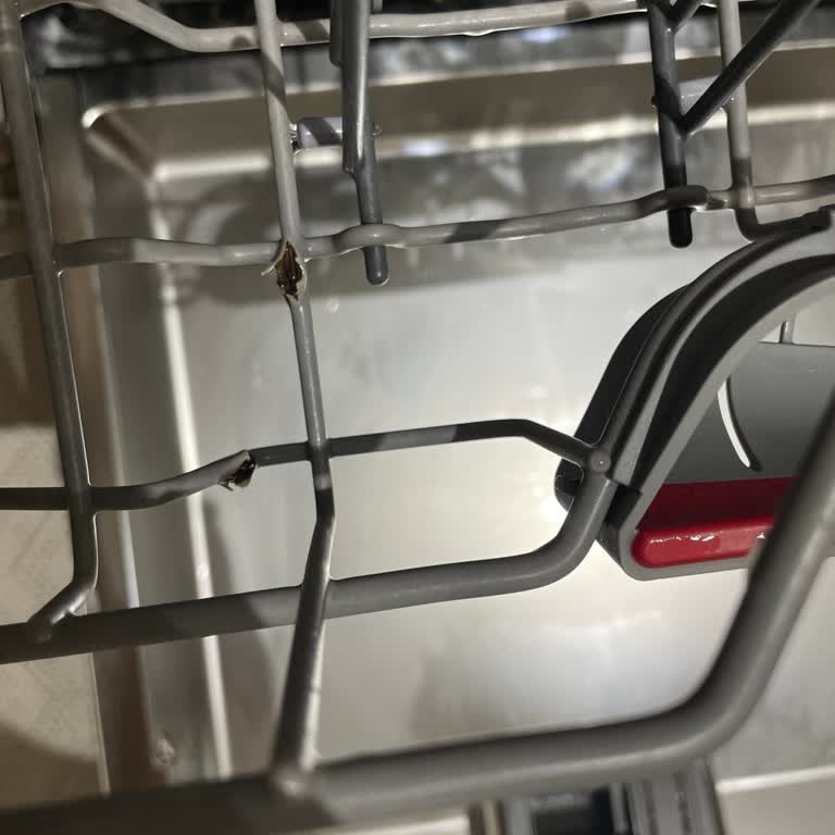 Bosch Bulaşık Makinesinde Sepetlerin Kısa Sürede Paslanması Ve Hijyen Sorunu