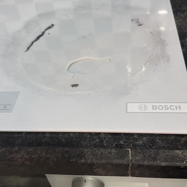 Bosch Ocakta Patlama, Servis Tarafından Kullanıcı Hatası İddiası