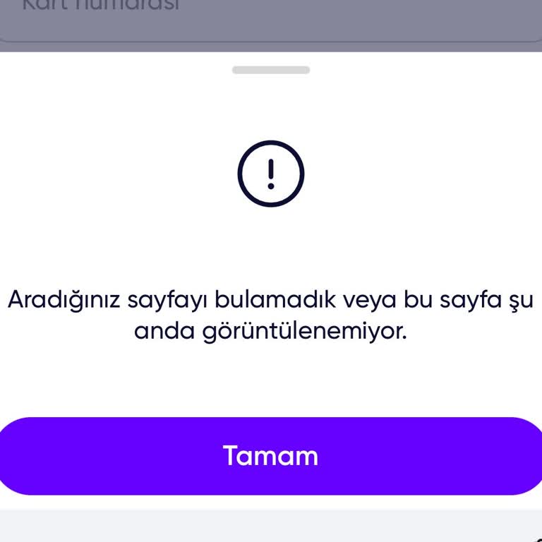 Shopier'de Revolut Kartı İle Ödeme Sayfası Hatası
