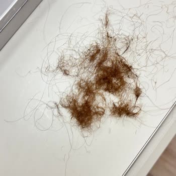 Fiyat Artışı Ve Saç Yanığı Nedeniyle Tam İade Ve Keratin Bakımı Talebi