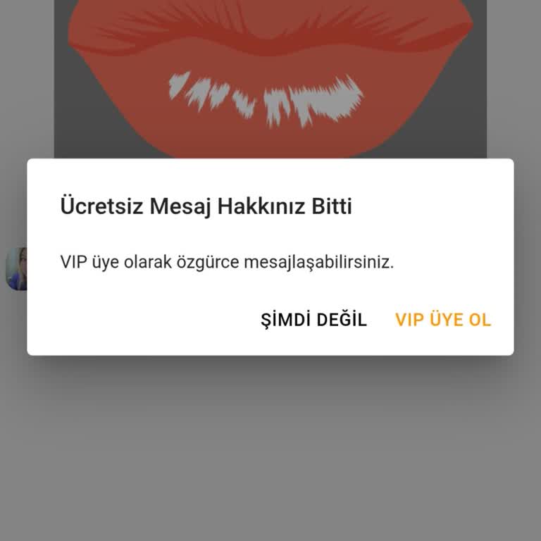 VIP Mesajlaşma Paketi Aktif Olmadı Ve Destek Yanıt Vermedi