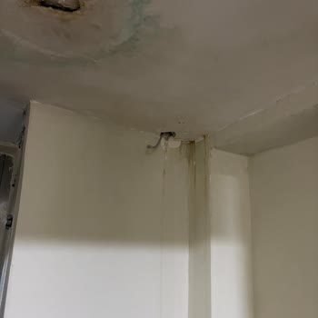 Rutubet, Dökülme Ve Sosyal Tesis Sözleşmesi İhlali Nedeniyle Acil Müdahale Talebi