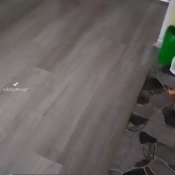 Ethica Sigorta Bir Daha Mı Asla!
