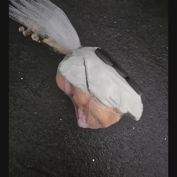 Hasarlı Gönderi Ve Uzayan Tazmin Süreci Quickshipper Ve UPS Sorumluluğu Üzerine