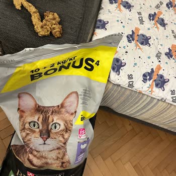 Purina Kedi Maması Kusmaya Yol Açtı, Amazon Müşteri Hizmetleri Kaba Ve İade Talebi