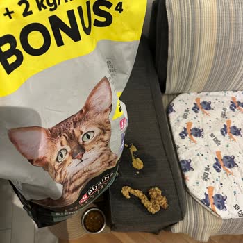 Purina Kedi Maması Kusmaya Yol Açtı, Amazon Müşteri Hizmetleri Kaba Ve İade Talebi