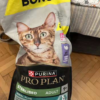 Purina Kedi Maması Kusmaya Yol Açtı, Amazon Müşteri Hizmetleri Kaba Ve İade Talebi