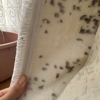 Aktez Halı Yıkama'dan Kirli Ve Kokulu Halı Teslimatıyla Yaşanan Mağduriyet