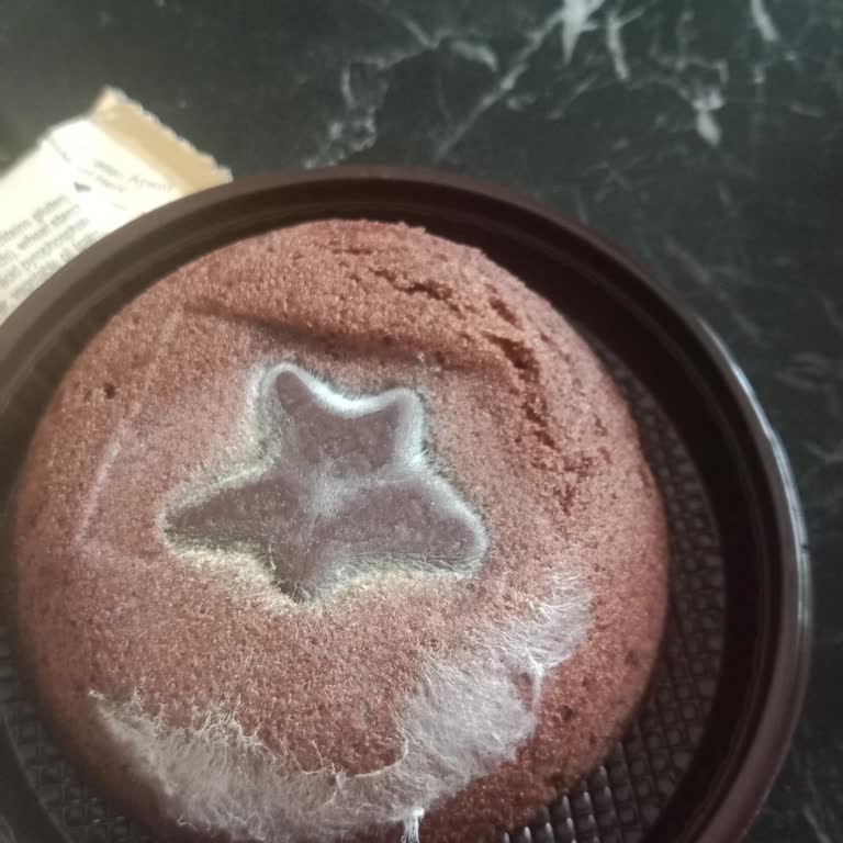 Küflü Luppo Sufle Kekte Gıda Güvenliği Sorunu
