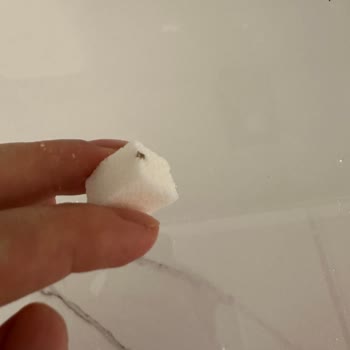 Küp Şekerde Siyah Yabancı Parça Ve Sağlık Endişesi
