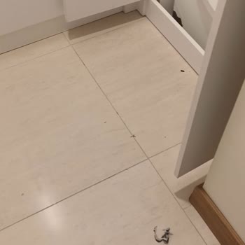 Arçelik Kurutma Makinesi Aşırı Tüy Saçıyor Ve Servis Normal Diyor