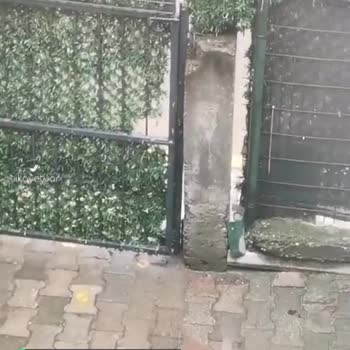 Kocaeli Büyükşehir Belediyesi Su Baskını, Rögar Gideri