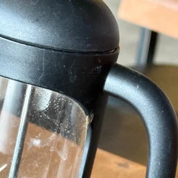 Arabica Şubesindeki Sinek Sorunu Okuma Konforunu Bozuyor