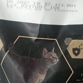 Evemama.net Sahte Purina Pro Plan Kedi Maması Gönderdi, Kedim Hastalandı Ve İade Bekliyorum