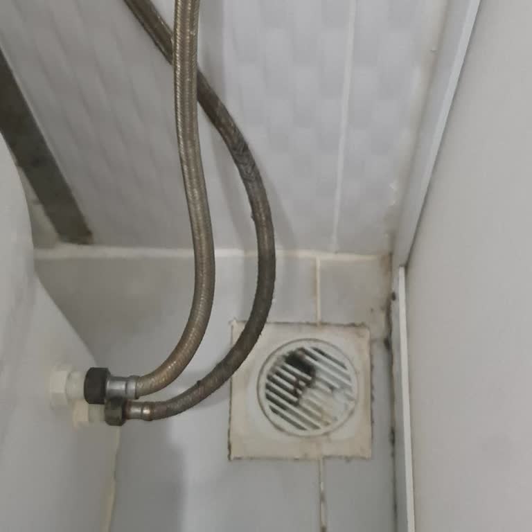 Burdur Bahçelievler Sitesinde Lağım Fareleri Sağlık Tehdidi Oluşturuyor