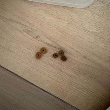 Royal Canin Köpek Maması Ambalajsız Gönderildi, Sahte Şüphesi Ve İade Talebi
