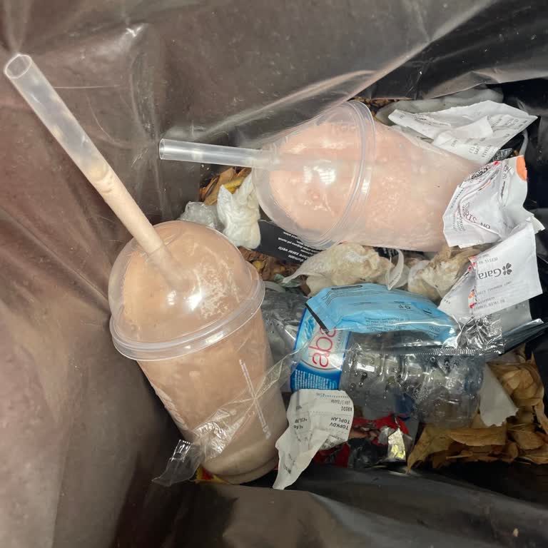 Hijyenik Olmayan Tuvaletler Ve Bozulmuş Milkshake Sorunu