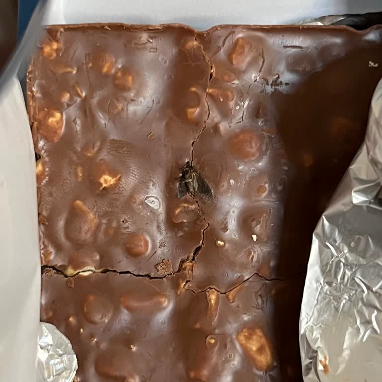 İzmir Karşıyaka A101 Şubesinde Satılan Nestle Fındıklı Çikolata’da Böcek Tespiti Ve Sağlık Riski