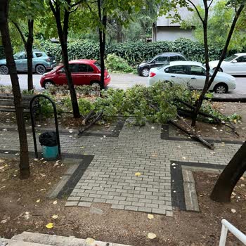 İhsaniye İnce Sokak Parkı Çöp Birikintileri Ve Düşen Dallar Sebebiyle Tehlikede