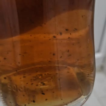 Torku Üzüm Sirkesi İçindeki Siyah Parçacıklar Gıda Güvenliğini Tehdit Ediyor