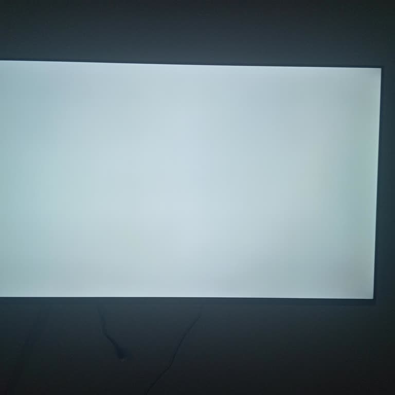 Profilo Televizyon Ekranı Beyazlaştı, Garanti Kapsamında Servis Yanıtı Yok