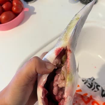 Migros Forum Diyarbakır’da Bozuk Çipura Satışı Ve İade Talebi