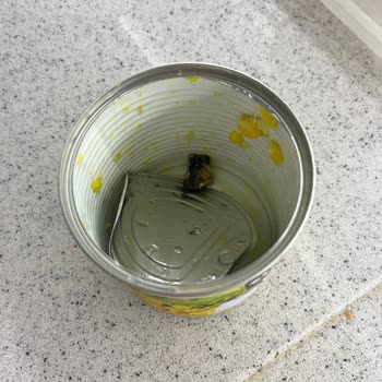 Tukaş Mısır Konservesinde Çürük Parça Ve Sağlık Endişesi