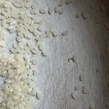Yemeksepeti Üzerinden Alınan Pirincin İçinde Kurtlar