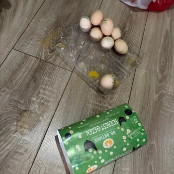 Kırık Yumurtalar Teslim Edildi, Hızlı İade Talep Ediyorum