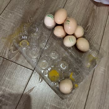 Kırık Yumurtalar Teslim Edildi, Hızlı İade Talep Ediyorum
