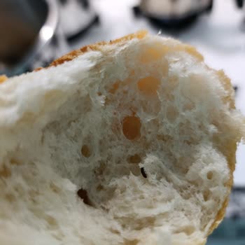 Birlik Mahallesi BİM Şubesinde Satın Alınan Ekmekte Böcek Tespiti Hijyen İhlali