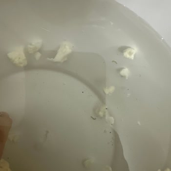 Bozulmuş Tavuk Ve Karnabaharda Solucan, Getir Ve Market Sahibi Tarafından Küçümseyici Tavır