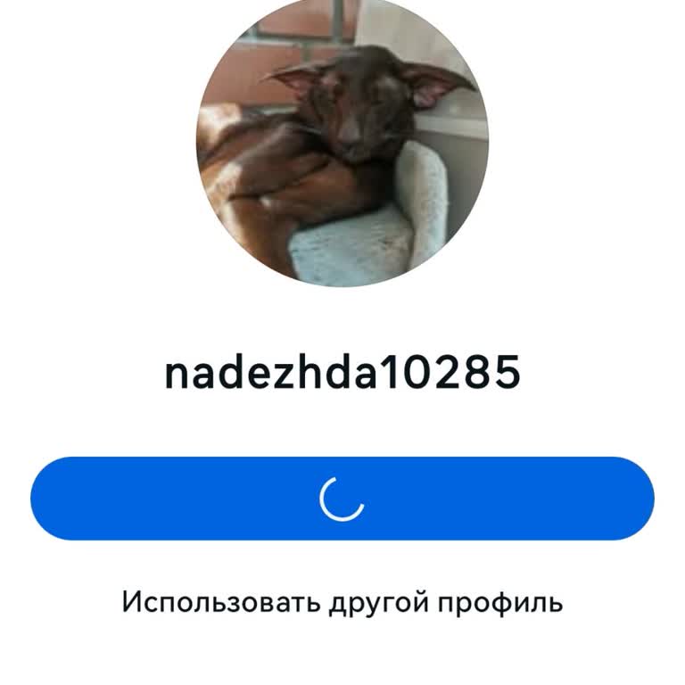 Instagram Заблокировали аккаунт Без Причины