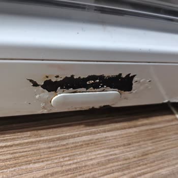 Vestel Buzdolabımda Tekrarlayan Kompresör Arızası Ve Paslanma, Değişim Talebi