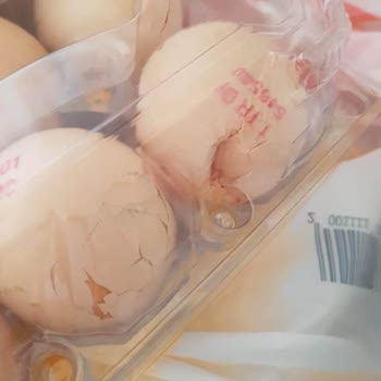 Sanko Park Şubesinde Kırık Ve Kokmuş Yumurta Teslimi İçin İade Reddi