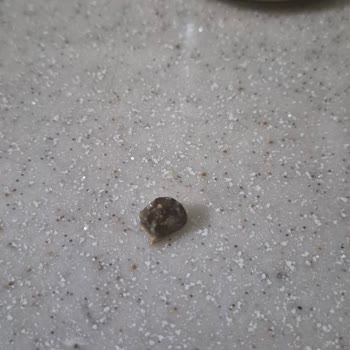 Fıstık Ezmesinde Taş Parçası Diş Sağlığını Tehdit Ediyor