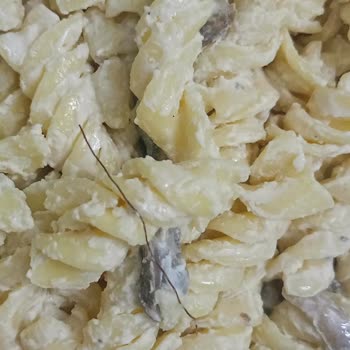 Migros Kremalı Mantarlı Fusilli Makarnasında Uzun Kıl Tespiti Mide Bulantısına Neden Oldu