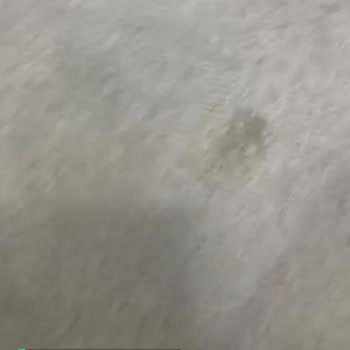 Koza Halıda Soyulma Var
