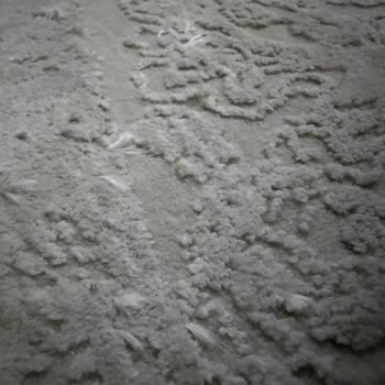 Garantiyle Satılan Halının Ilmikleri Sökülmüş Ve Tiftiklenmiş
