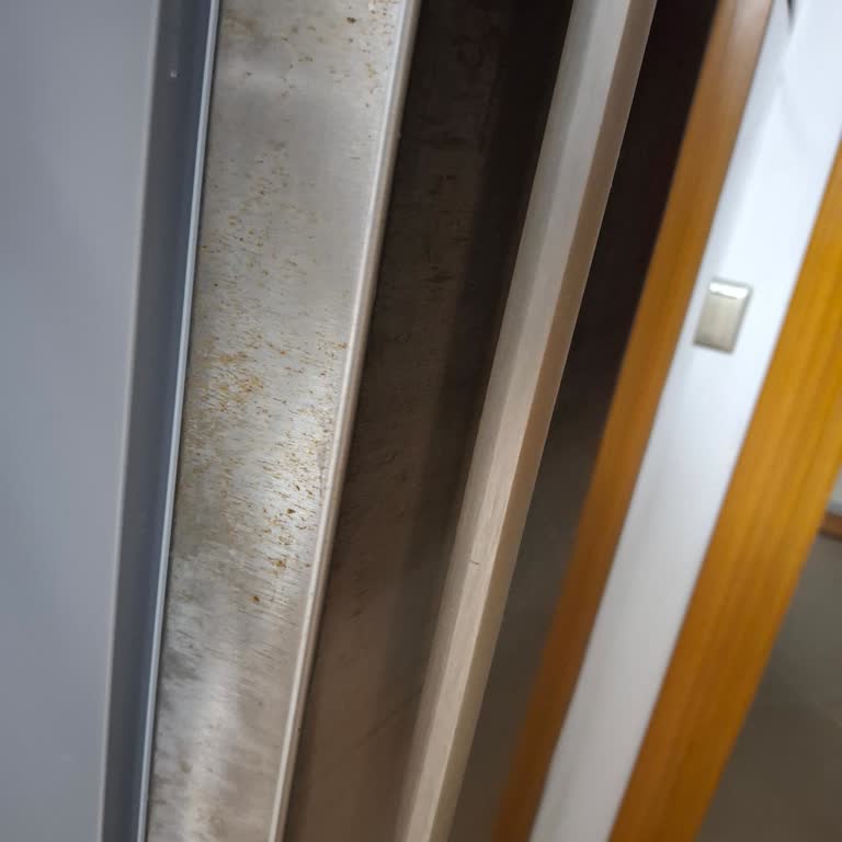 Bosch Refrigerator Rusting and Staining After 3 Years: Door Replacement Request