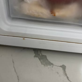 Garanti Süresindeki Buzdolabımda Su Sızıntısı Ve Paslanma, Yetkili Servis Tüketici Hatası Dedi