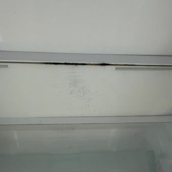 Karlanma Ve Kötü Koku Nedeniyle Buzdolabı Bozuldu, Hijyenik Olmayan Geçici Ürünle Mağdur Oldum